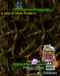 d00r gets the pile of blue flowers!!