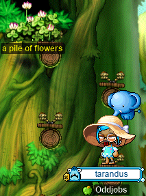 tara gets a pile of flowers!!