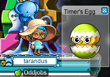 Timer’s Egg