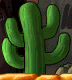 CWM cactus