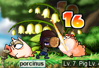 porcinus vs. Pigs