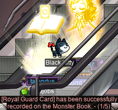 [Royal Guard Card] has been successfully recorded on the Monster Book. — (1/5)