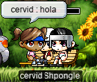 Henesys bench (cervid: hola)