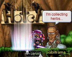 Sabitrama: I’m collecting herbs…