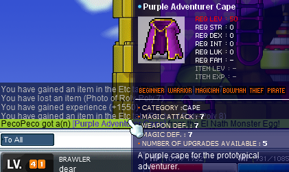 Purple Adventurer Cape