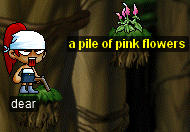 a pile of pink flowers for dear