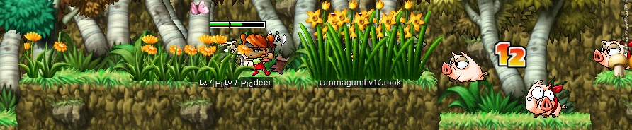 deer, Lv1Crook, & Ummagumma @ The Rain-Forest East of Henesys