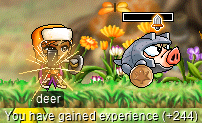 deer slays a fake Iron Hog (You have gained experience (+244))
