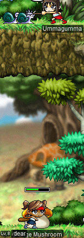 Ummagumma & dear @ Dangerous Forest