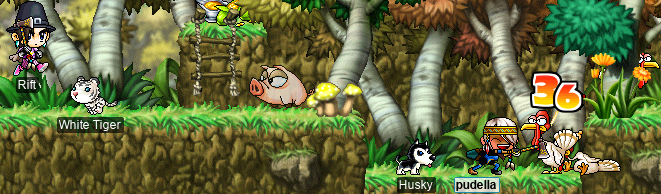 Rift & pudella enjoying Thanksgiving @ The Rain-Forest East of Henesys